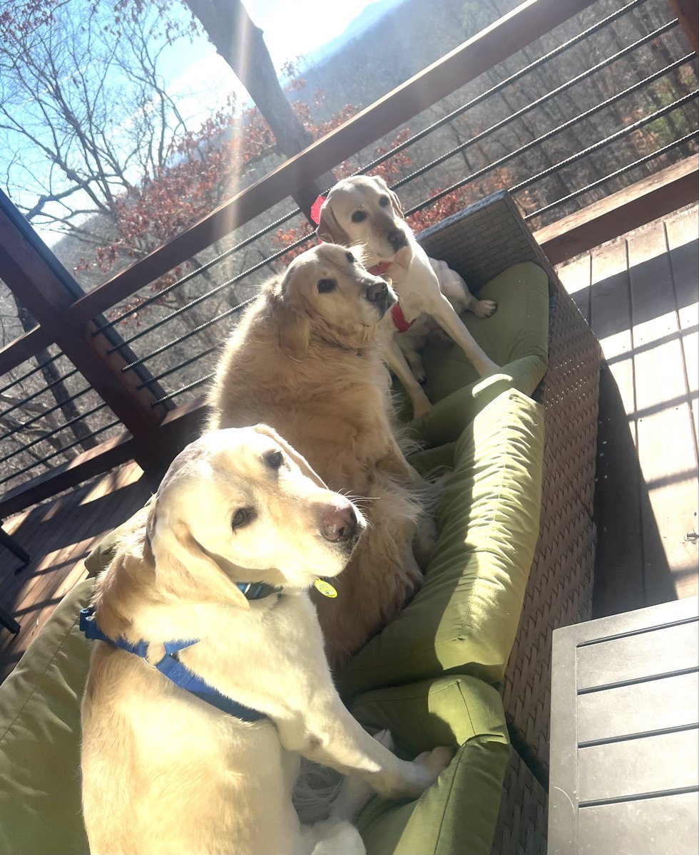 Merry Christmas 🎄