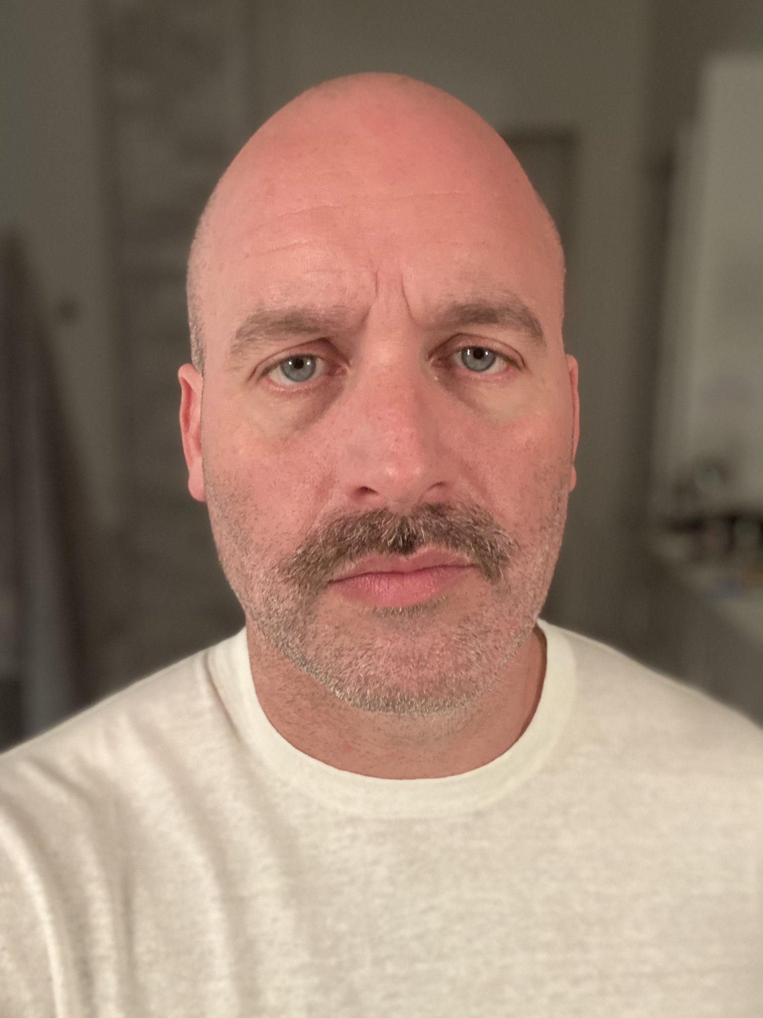 Tom Segura AKA Mr. Ladybug on Twitter "Merry Christmas 🎄🏳️🌈 https//t