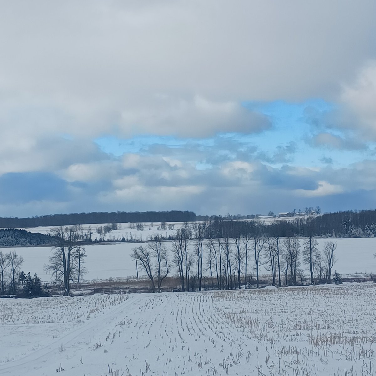 dave_gowan's tweet photo. Merry Christmas to everyone from our winter wonderland https://t.co/Wci0FC7Xi6
