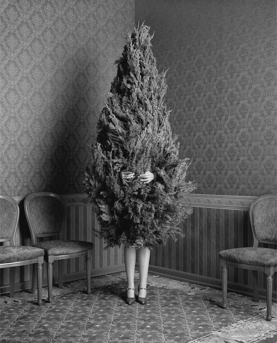 This is great — Geof Kern⁠, Woman in a Christmas Tree, 1996 via <a href="/FaheyKlein/">Fahey Klein Gallery</a> Gallery 🎄