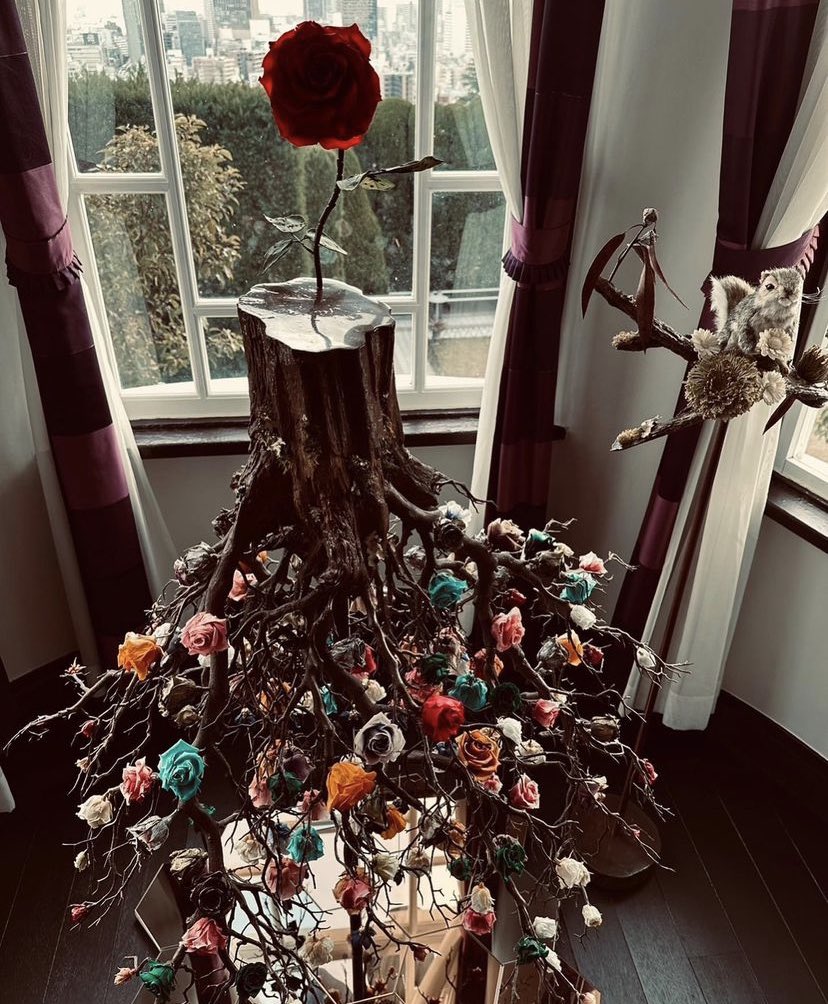 Fk1VKF4acAML1Pg?format=jpg&name=medium