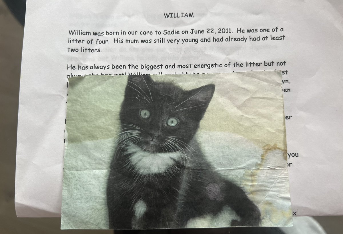 “Grief is the price you pay for love”
William Morgan Garner 22/06/11 - 25/12/22