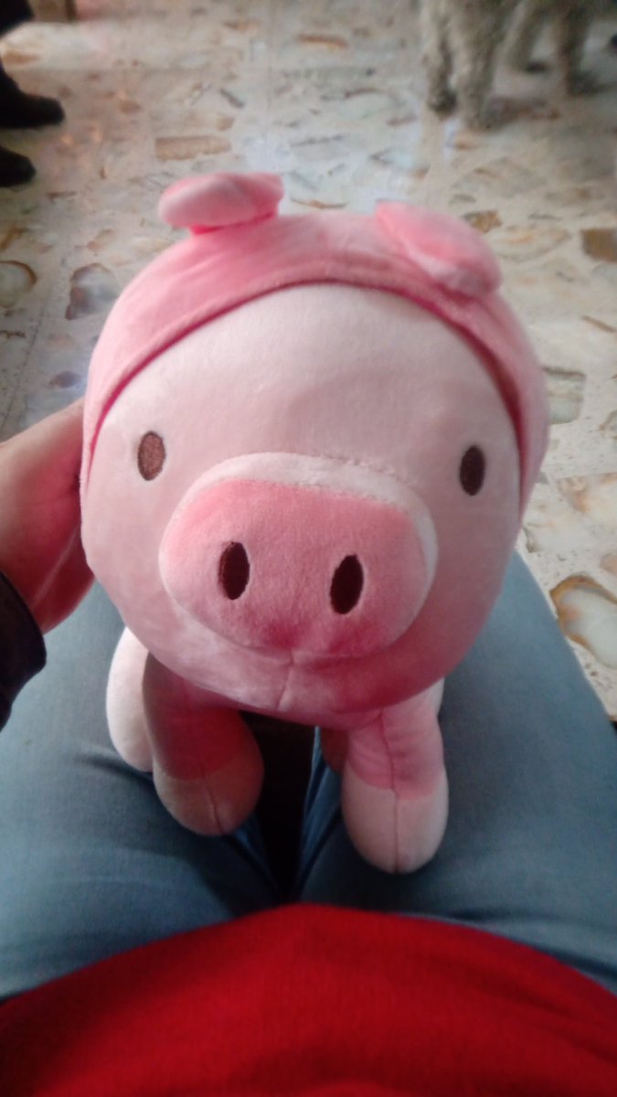Xtina_Winter's tweet photo. Actualización del cochi 🖤🐷✨ https://t.co/qjji3DxsA5