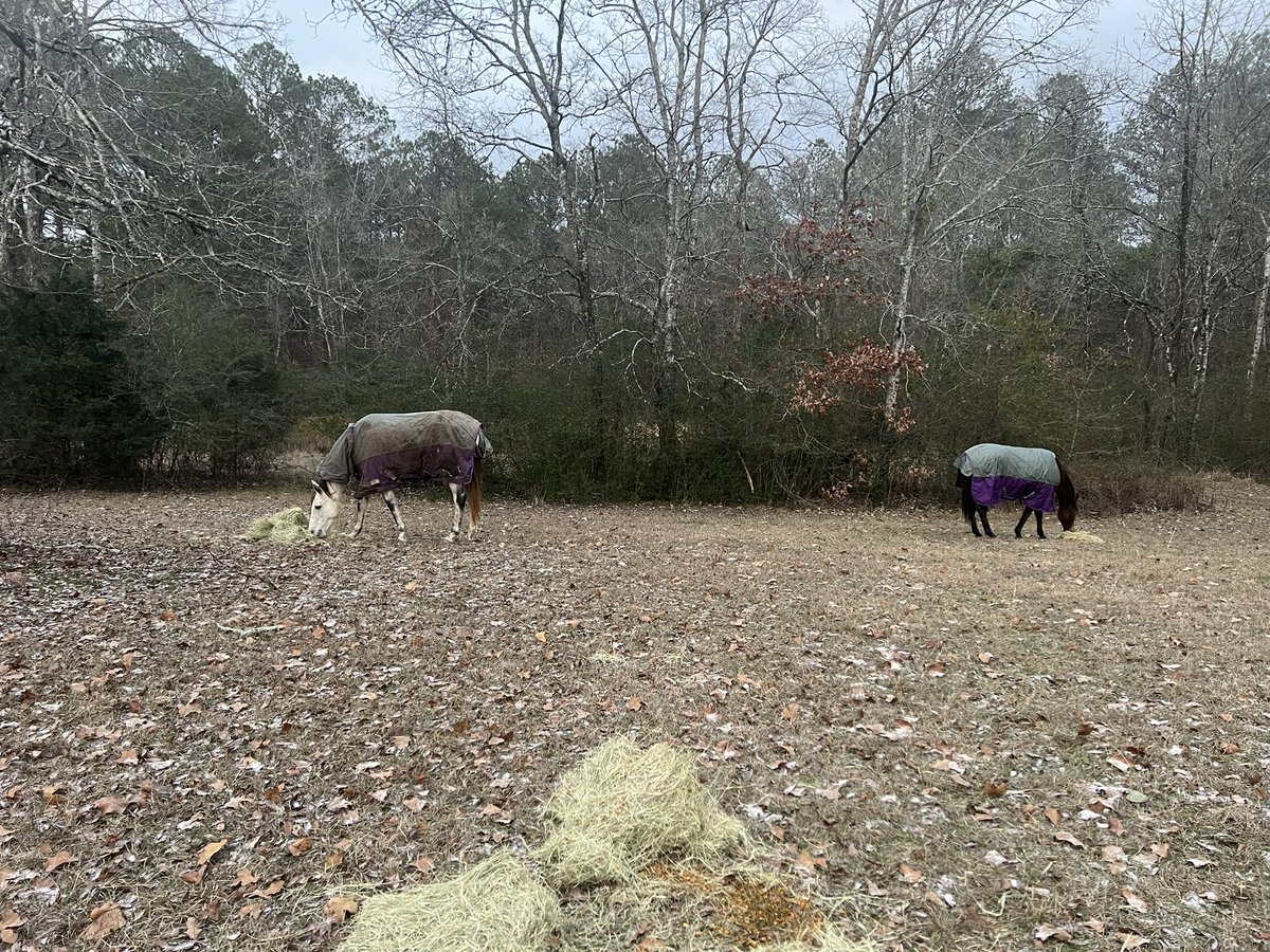TracktoCourse tweet picture