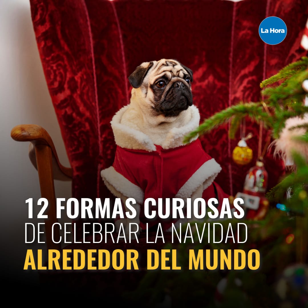 lahoraecuador's tweet photo. Desde visitar a Santa en #Finalndia 🎅, hasta intentar hablar con los perros en #Brasil, estas son las tradiciones que quizá no conocías de la #Navidad. 👀 Te contamos 👉🏽 https://t.co/E8QAxUgIEF https://t.co/XpmT8s7SSV