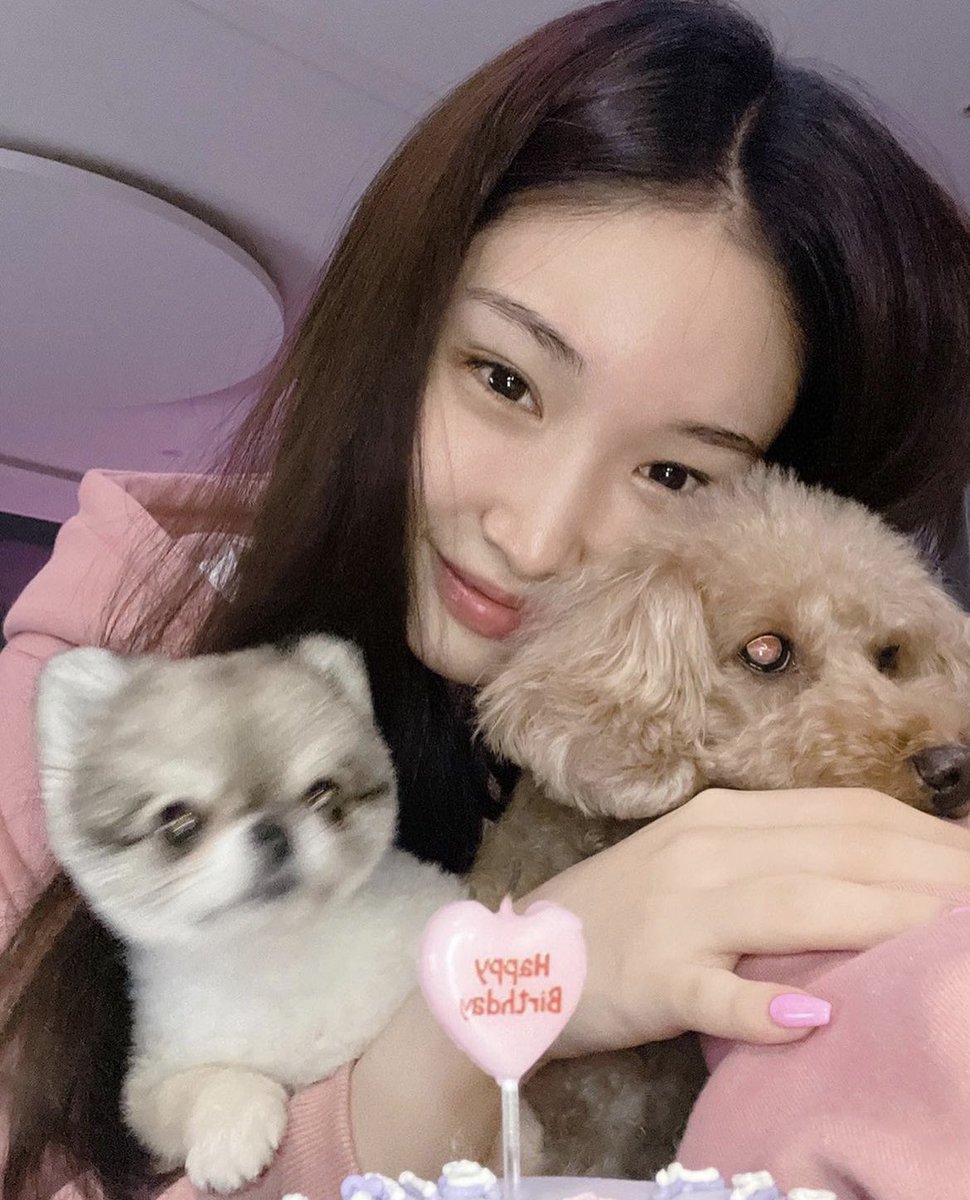 yanagochi's tweet photo. solar return once more. happy birthday to me! 🎂 here’s to the start of another 365 day journey around the sun 🥂✨ https://t.co/ppiAHMxvHC