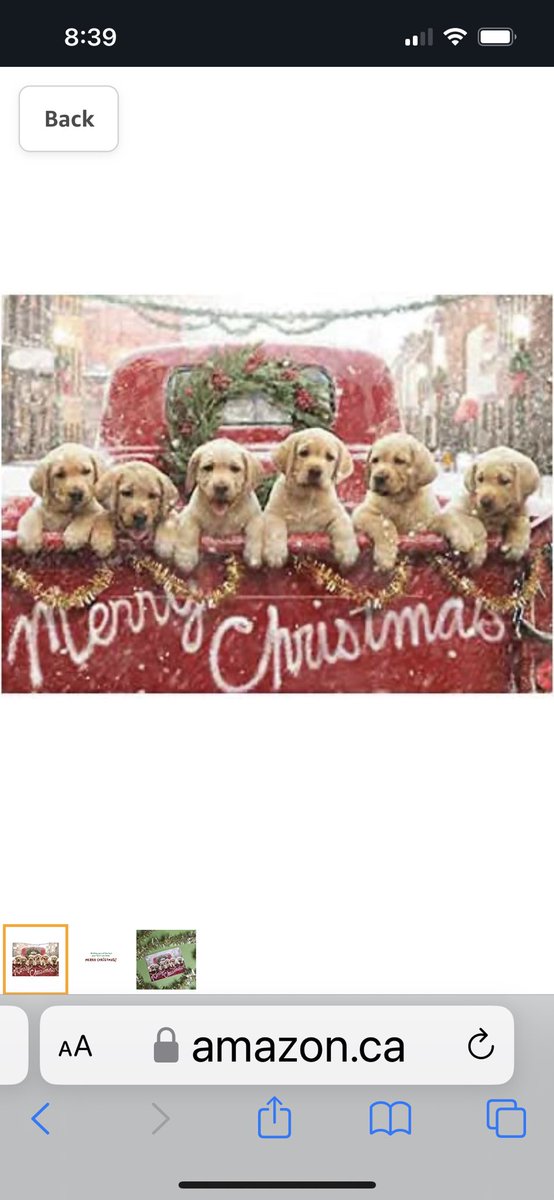 Merry Christmas and Happy New Year from all of your Vegreville Vipers