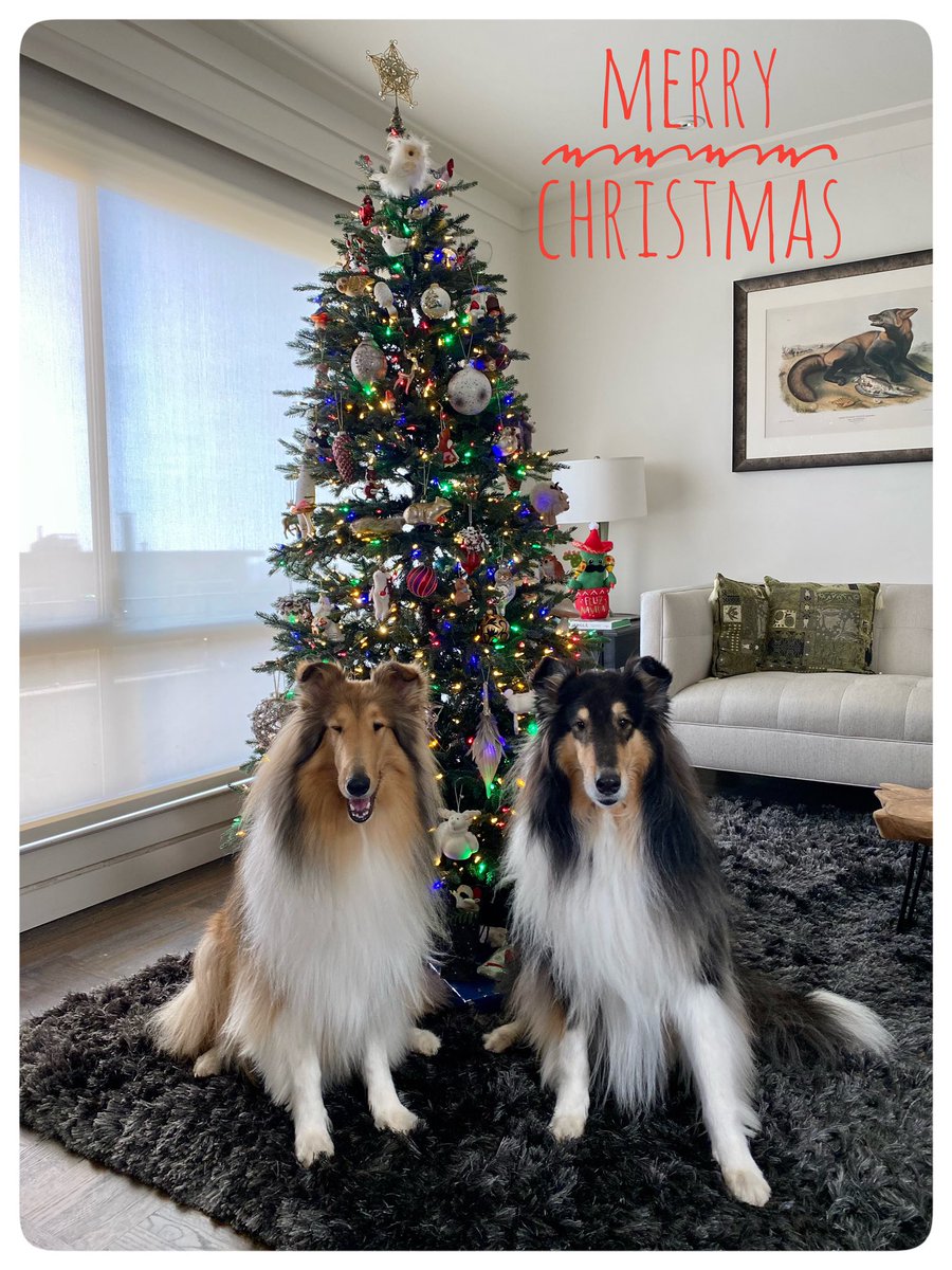 May your Christmas be merry &amp; bright!