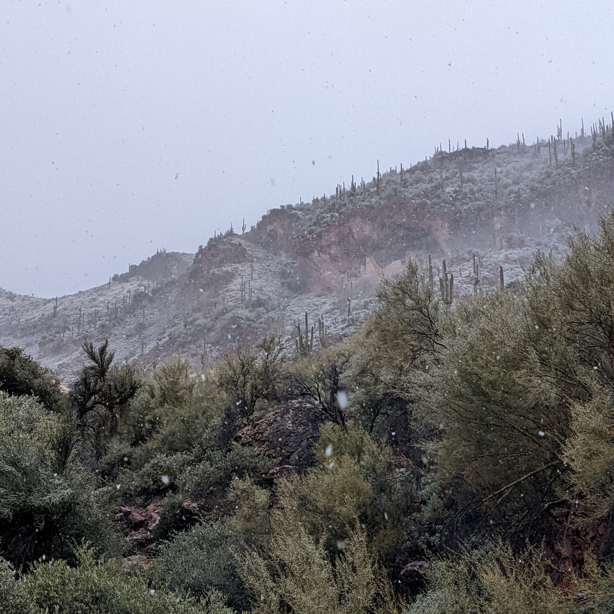 Tonto NPS tweet media