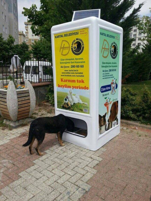 NaoCasanova's tweet photo. Esta máquina en una calle de Estambul da una ración de pienso a un perro callejero cuando alguien deposita una botella de plástico vacía. https://t.co/rgvIDEOz1b