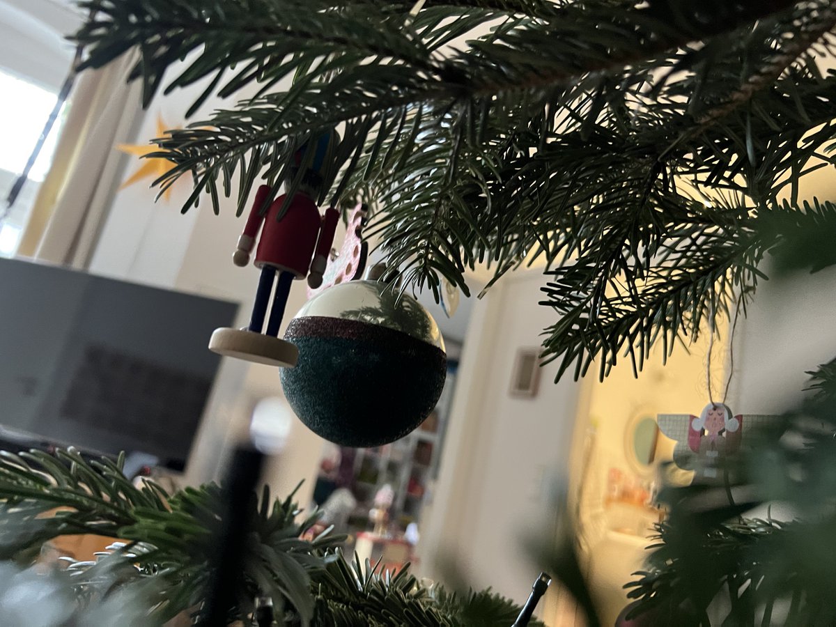 Frohe Weihnachten liebe Menschen. 🕸️ Ich melde mich aus meinem neuesten Versteck. Seit Wochen bin ich hier nicht mehr in der Wohnung alleine, weil ständig jemand von der Familie krank ist. Heute konnte ich mich das erste mal unbemerkt ans Familienhandy schleichen.
