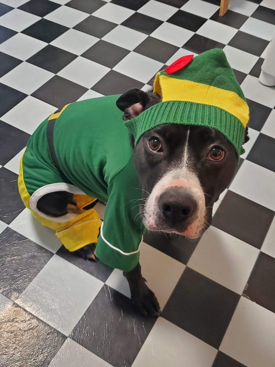 Birdie and the rest of the Centerpoint Brewing family would like to wish you all Happy Holidays! We hope you are enjoying time with your family and friends today and toasting with some local craft beer.