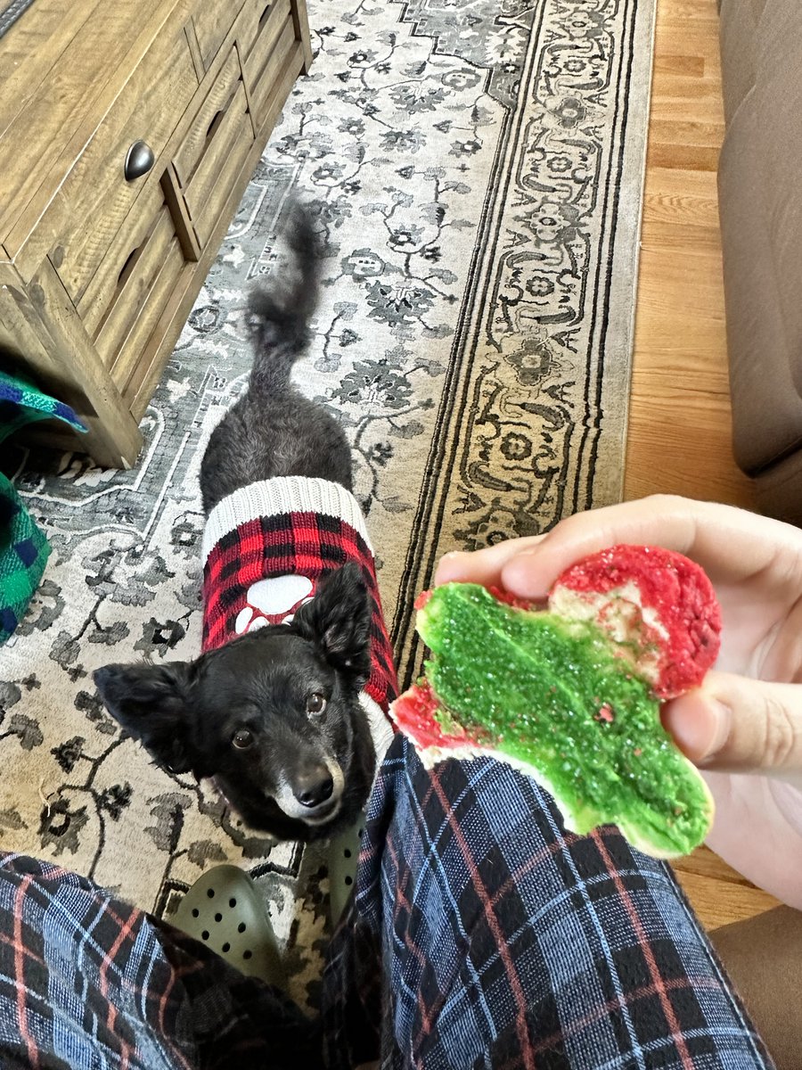 TheKyleHardy's tweet photo. merry christmas :) https://t.co/U4x8lIwzZg