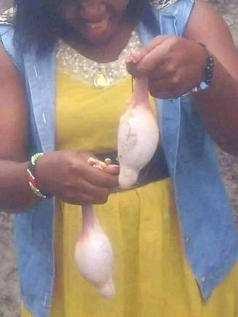 Kiprop9Oliver's tweet photo. Wanawake wa siku hizi wanakula hii, anyway sina neno me ni kutulia tu https://t.co/qSsrRIm8LQ