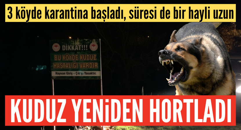 MilatGazete's tweet photo. Ölümcül tehlike!
Başıboş köpek sorunu sebebiyle Türkiye'de yeni bir salgının başlamasından korkuluyor. Kuduz ve karantina vakaları giderek artıyor. Kuduzun tedavisi bulunmuyor ve hastalık ölümle sonuçlanıyor. #KöpekleriToplayın 
https://t.co/9IZBObAgoj https://t.co/44bob694MH