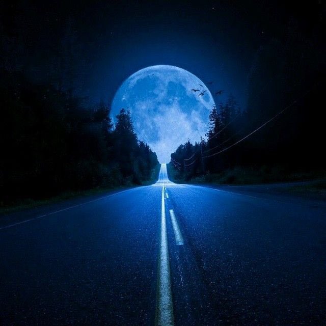 sunnydecree's tweet image. #Bitcoin roadmap 2024: