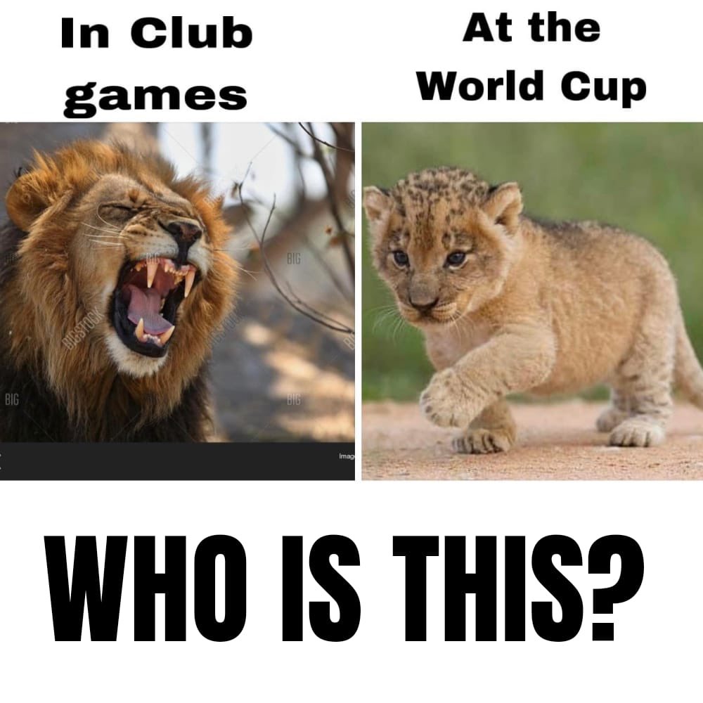 Fk1mBowWAAAHfP5?format=jpg&name=medium