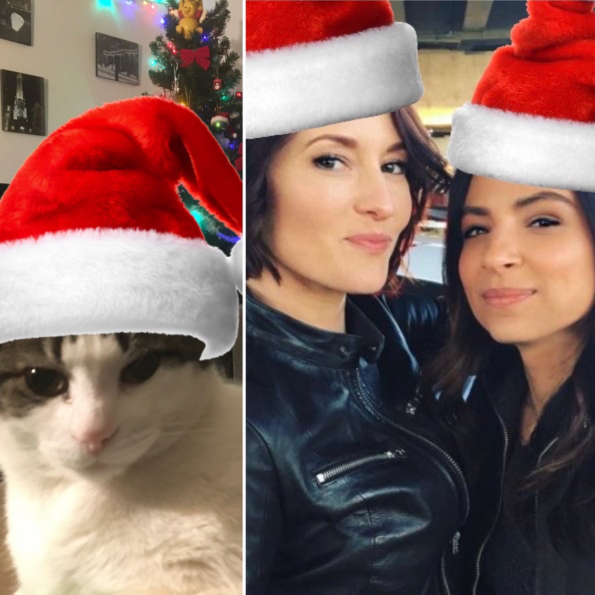 CurlyAsSanvers's tweet photo. #Sanvers #Flyler #CurlyAsSanvers #FlorianaLima #ChylerLeigh #curlythecat #SanversSunday #sanversmatters #merrychristmas https://t.co/ME0ragkAs4
