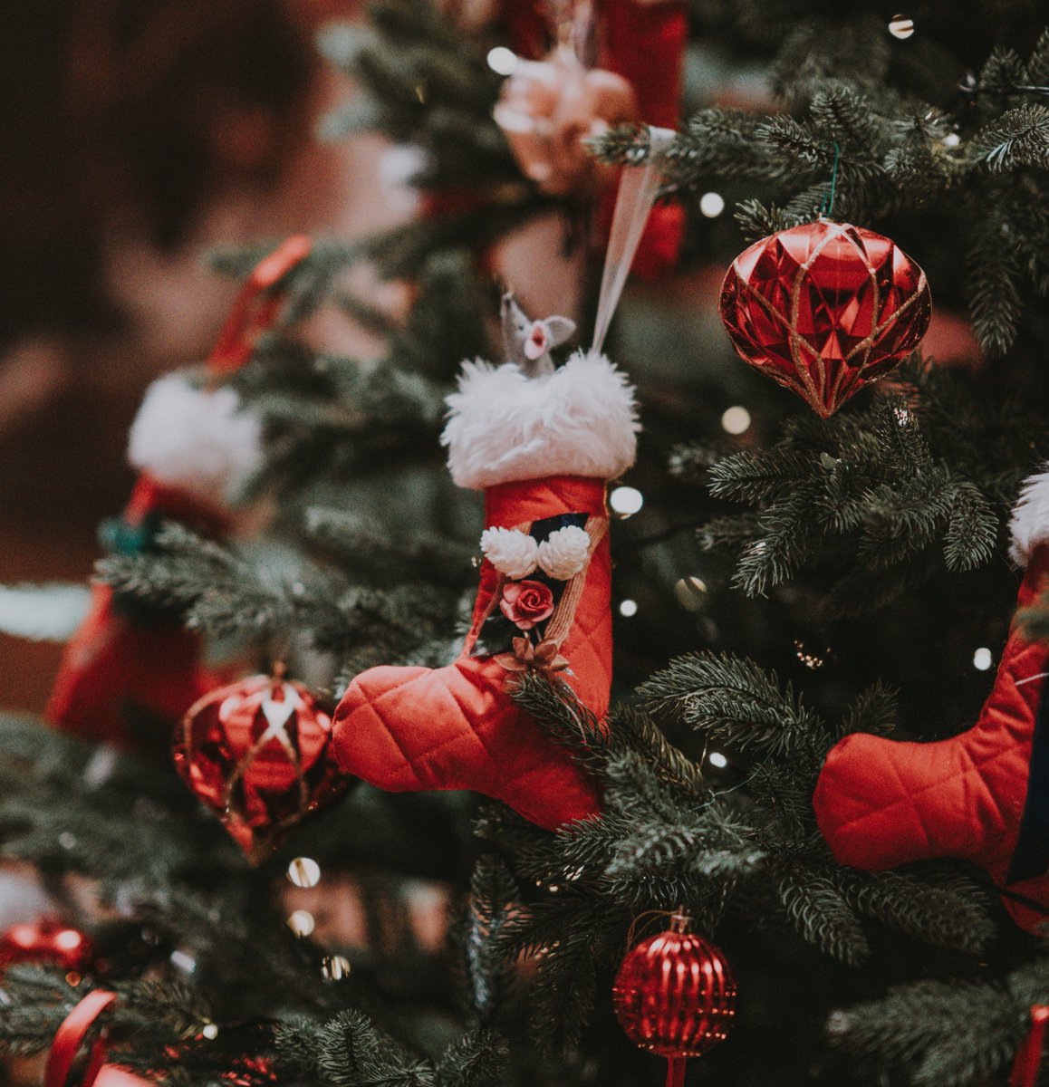 Happy Holidays 🥂🎄

#BryceCanyonCountry #RoomToRoam #VisitUtah