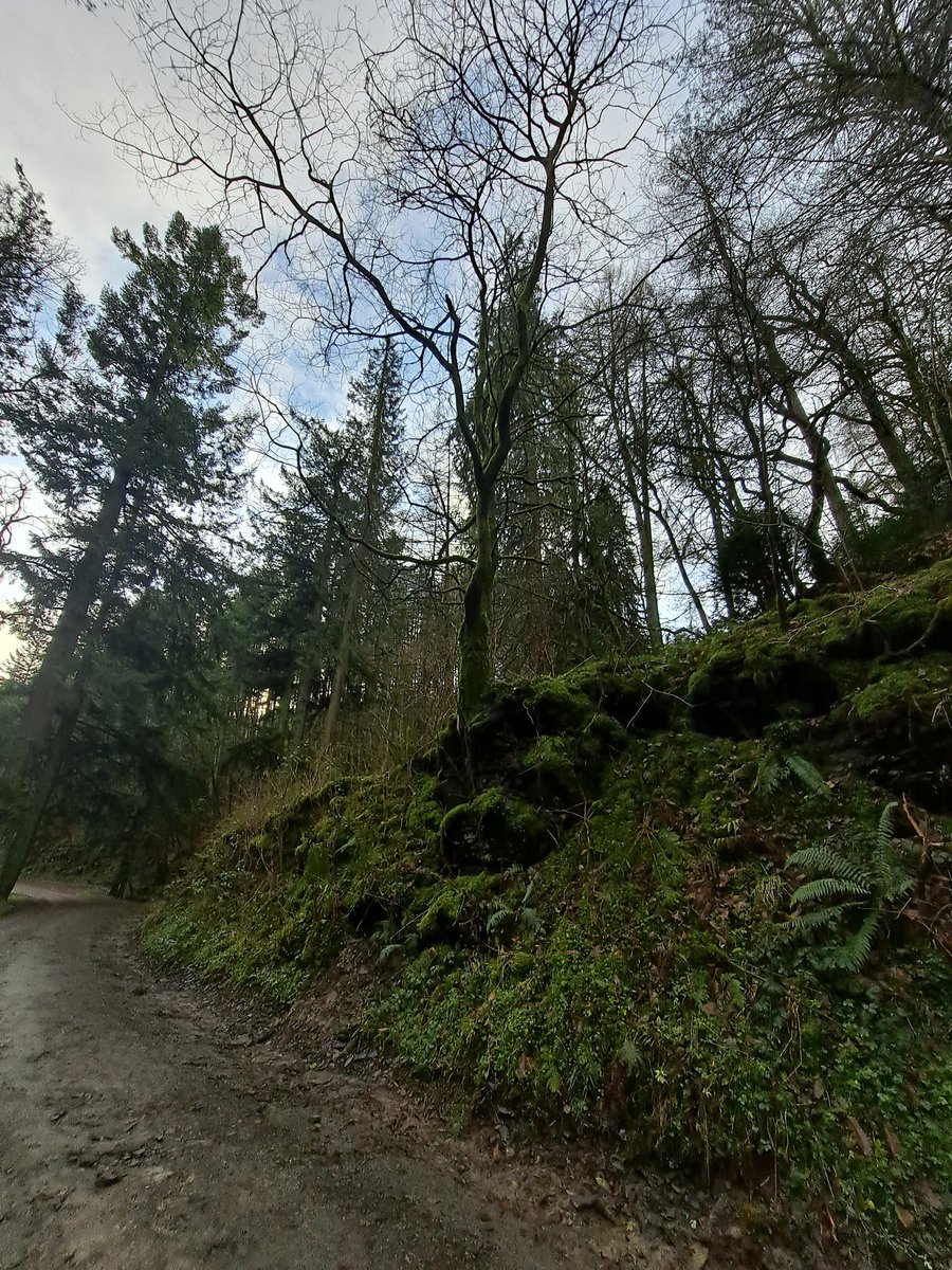 LFCTammy1892's tweet photo. Walk in the Welsh countryside with mum earlier today.
#WALES
#Powys
#Christmasmorningwalk
#NewRadnor
#Familytime https://t.co/H1XTra4zuO