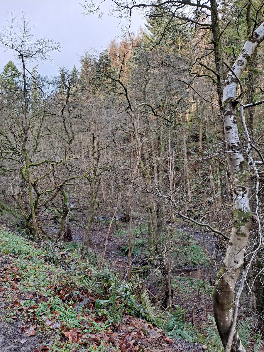LFCTammy1892's tweet photo. Walk in the Welsh countryside with mum earlier today.
#WALES
#Powys
#Christmasmorningwalk
#NewRadnor
#Familytime https://t.co/H1XTra4zuO