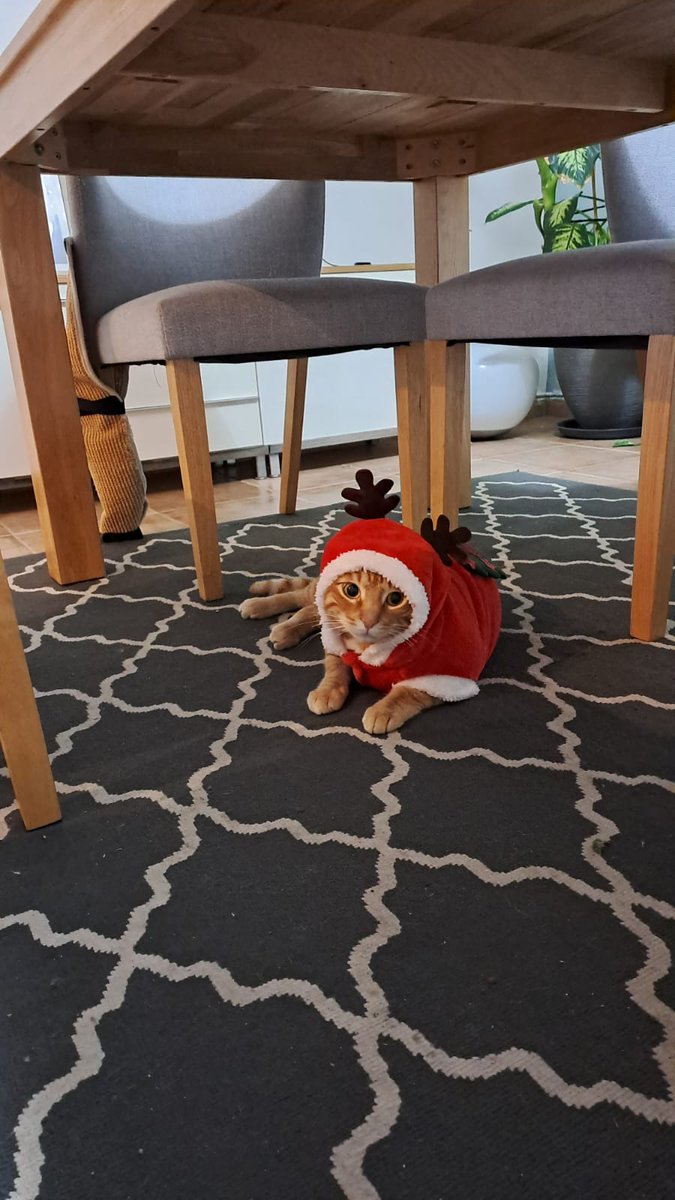 En esa cara de bueno se esconde un potencial psicópata asesino