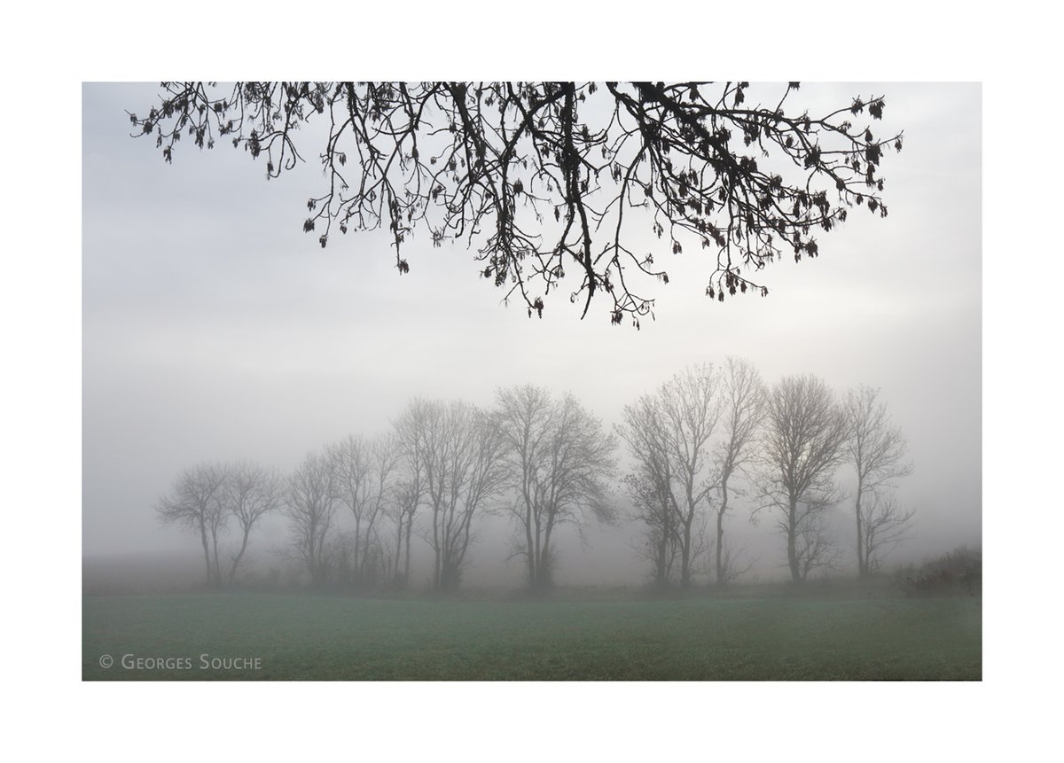 Georges Souche Photographe tweet media