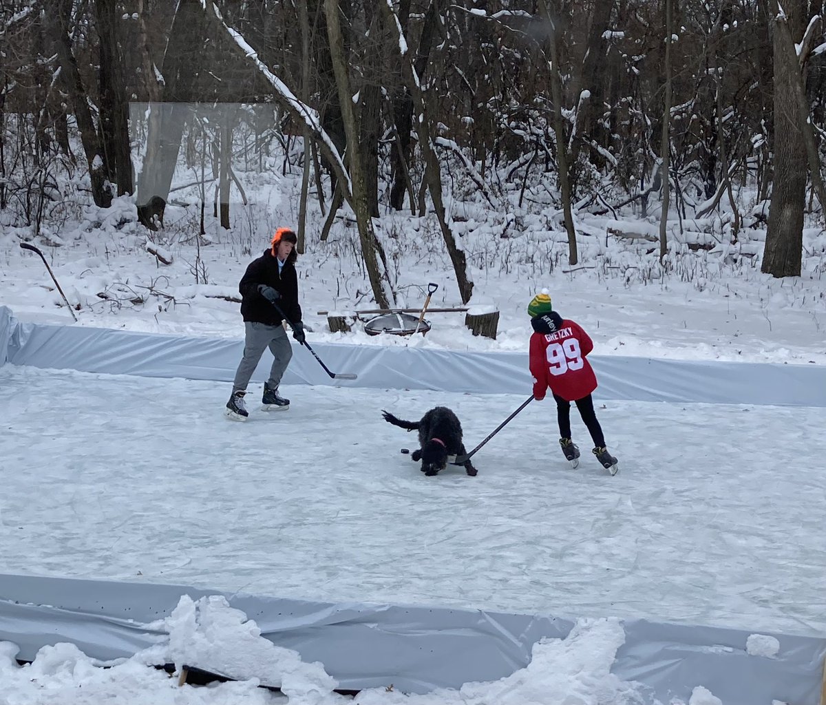 knoll_eric's tweet photo. Stick handling drills with a fury friend. https://t.co/HBEi6VOfrg