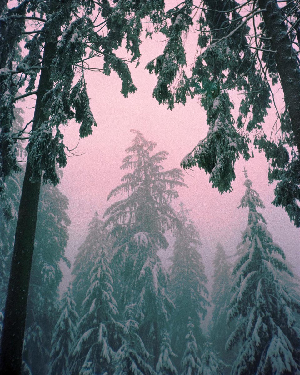 A magical winter day on film 🎞️