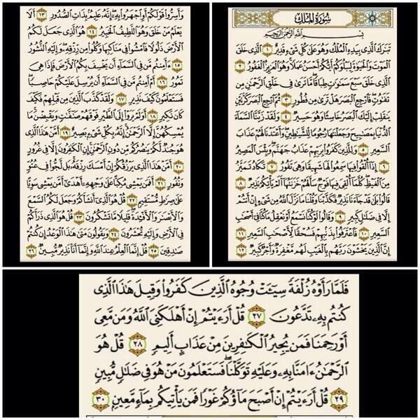 صفاء الروح tweet media