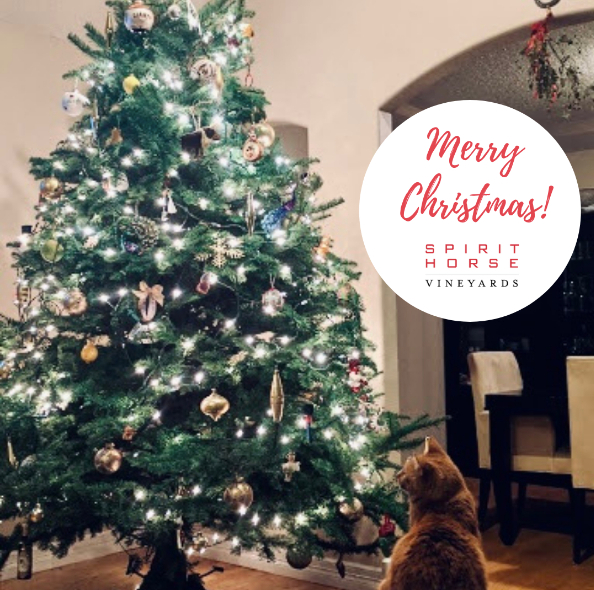 Merry Christmas and Happy Holidays! 🎁🥂♥️

Wishing you a safe, festive, fun holiday and lots of GREAT WINE. 
Let’s Raise a Glass &amp; Change the World. Salute!

#merrychristmas #christmas #happyholidays #catsofinstagram #oneeyedcat