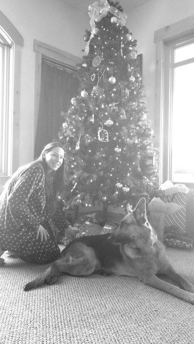 Merry Christmas &amp; Happy Holidays from The Harmons. I wish yall Peace and Love. ❤🤶🎄🎅🎁 https://t.co/C9<a href="/tag/imback"class="tags"><span>#imback</span></a>