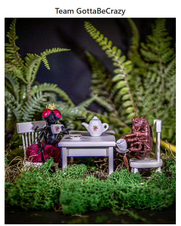 GottaBeCrazy2's tweet photo. #GISH2022 #BookBash #Item69: Kafka’s insect having tea with the Lord of the Flies, complete with a tiny insect crown. #GISH #TeamGottaBeCrazy https://t.co/x976raJwPg