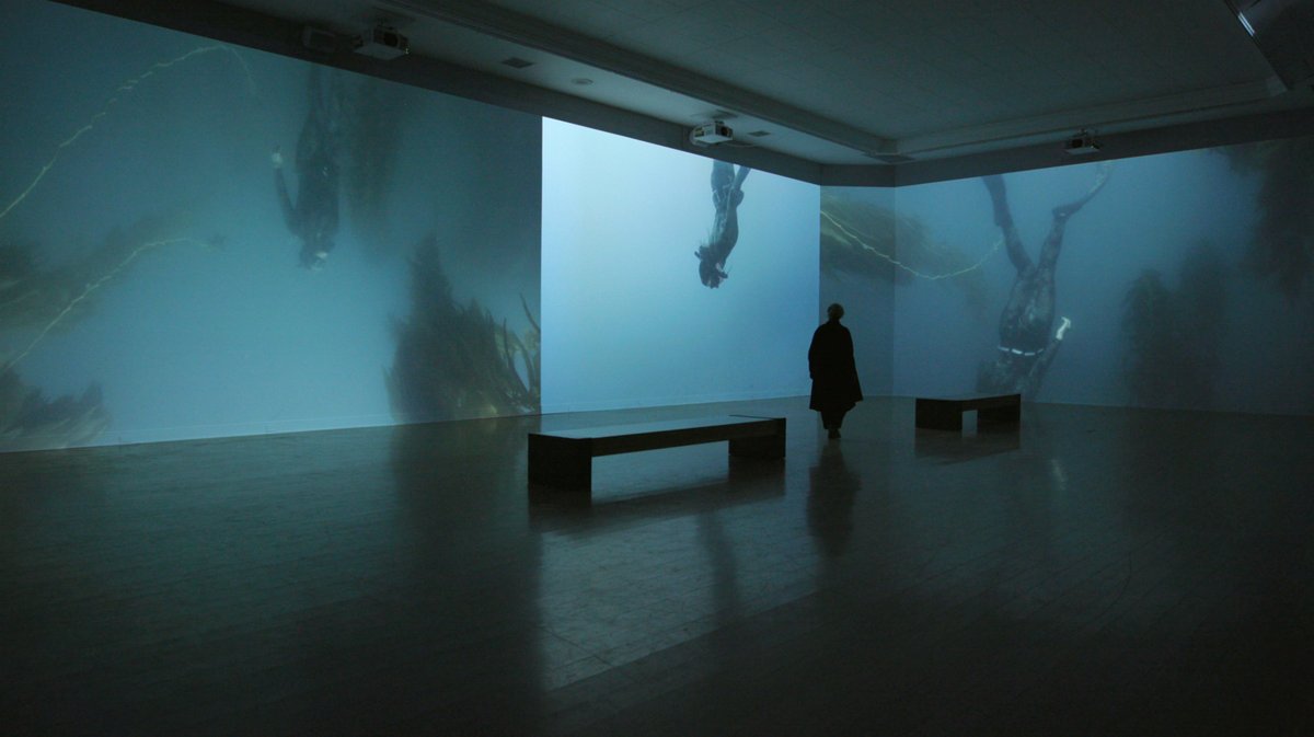 I spent the last 2 years researching, filming and creating 'The Sea Around Us', a 360° immersive video installation at the Laguna Art Museum which directly references Rachel Carson’s book of the same title. On view through Feb 5, 2023, #climate, #climatecrisis, #ocean #rewilding