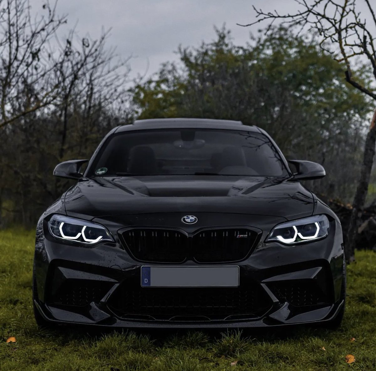 Bmw M2 Competition