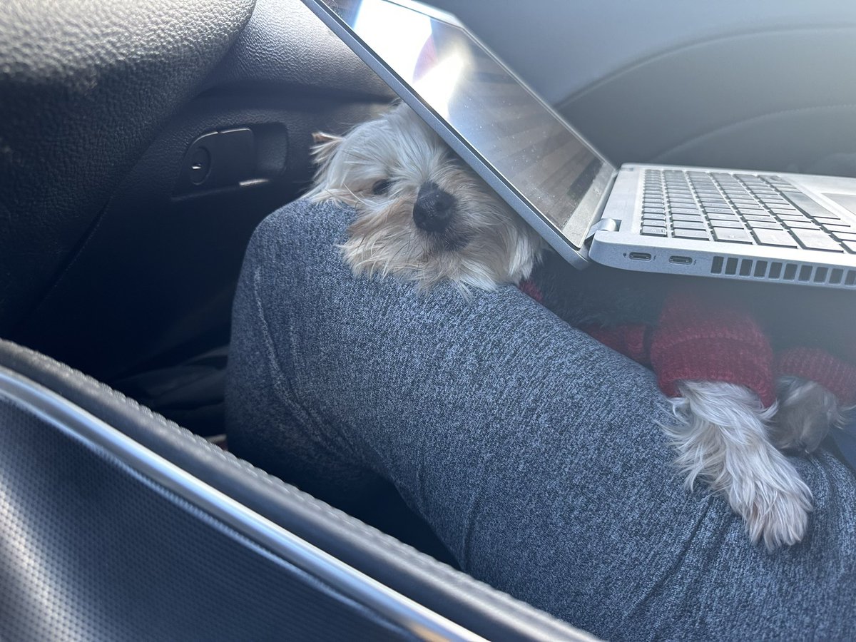 When you’re traveling and trying to get work done but your dog also insists on being on your lap. 🤷‍♀️ 
Merry Christmas! Happy Hanukkah! Happy holidays!