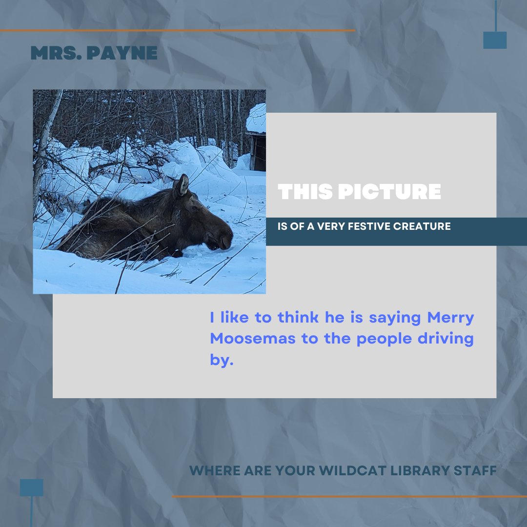 MVLibrary tweet media