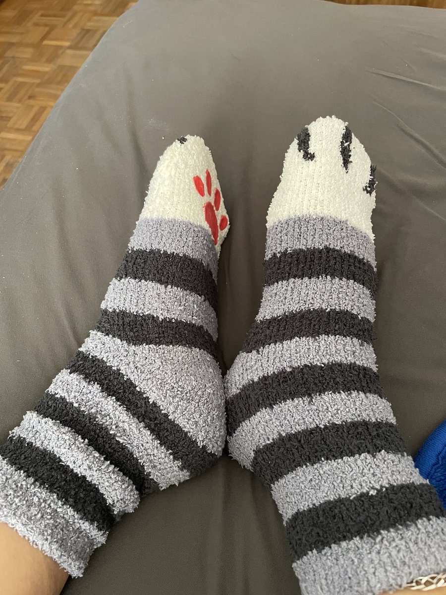 nannang13's tweet photo. #cats #CatsofTwittter #CatsOnTwitter #bestsocks LOVE these cat paw socks my sweet love gave to me! Happy holidays!! 🐾 https://t.co/uv3BzTqwgd