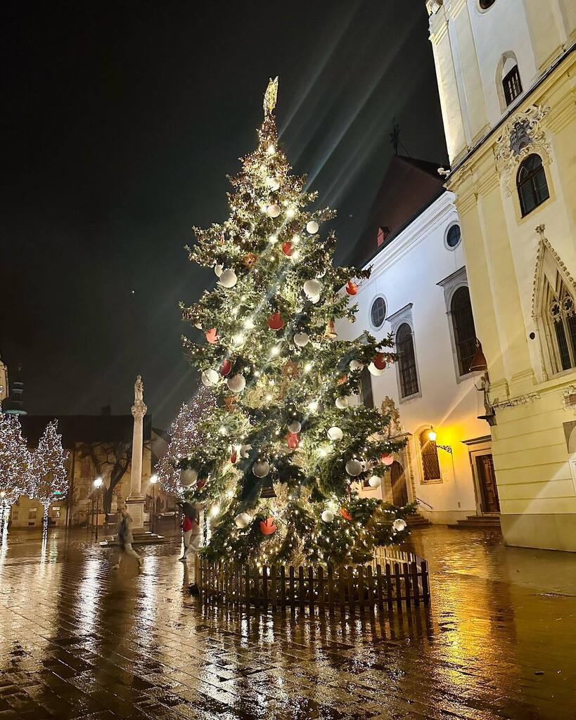 michalkotoc's tweet photo. #christmas #christmas2022 #vianoce #vianoce2022 #christmastree #christmastrees #vianocnystromcek #christmastradition #christmastraditions #slovak #slovakia #tradiacia #tradition #bratislava  #christmasdecor #vianocnedekoracie #christmastime #vianocnavyzdoba #christmaslights … https://t.co/F4MCSpbzFK