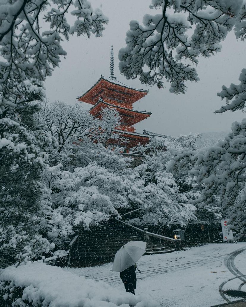 BintingM's tweet photo. Kyoto, Japan 🇯🇵 https://t.co/qTkp3jdTjo
