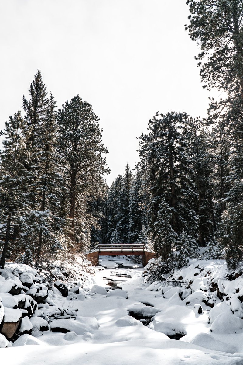 Walking in a winter wonderland ⛄️
-
#pnw #getoutside #pnwcollective #mountrainier #explore #washingtonexplored #wildernessculture #optoutside #pnwdiscovered #upperleftusa #hiking #nature #cascadiaexplored #adventure #photooftheday #travel #pnwonderland #mountrainier #nationalpark