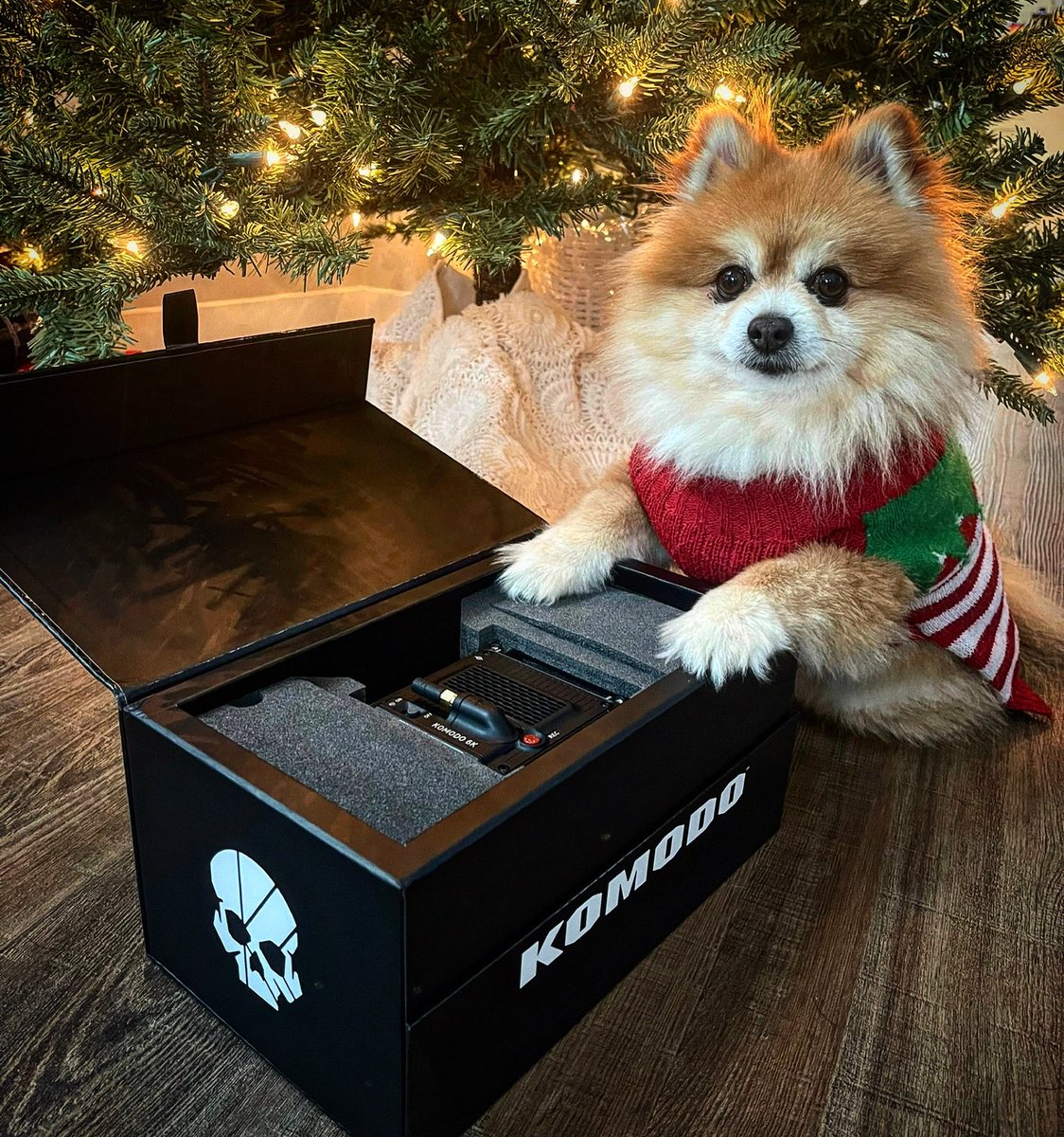 Looks like team #LUCHAGORE was on the “Nice List” this year!! THANK YOU SANTA🎅🎄 Merry Xmas!!!! 
New Camera! New Movies!🎬🍿 <a href="/LuchaGoreFilm/">LuchaGore Production</a> <a href="/RaynorShima/">Raynor Shima</a> 

#redkomodo #redcamera #luchagore4life #lamuñecadelterror