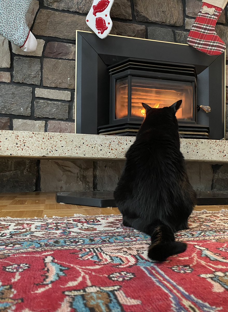 Merry Christmas to one and all! May your day be warm, festive, and bright.
