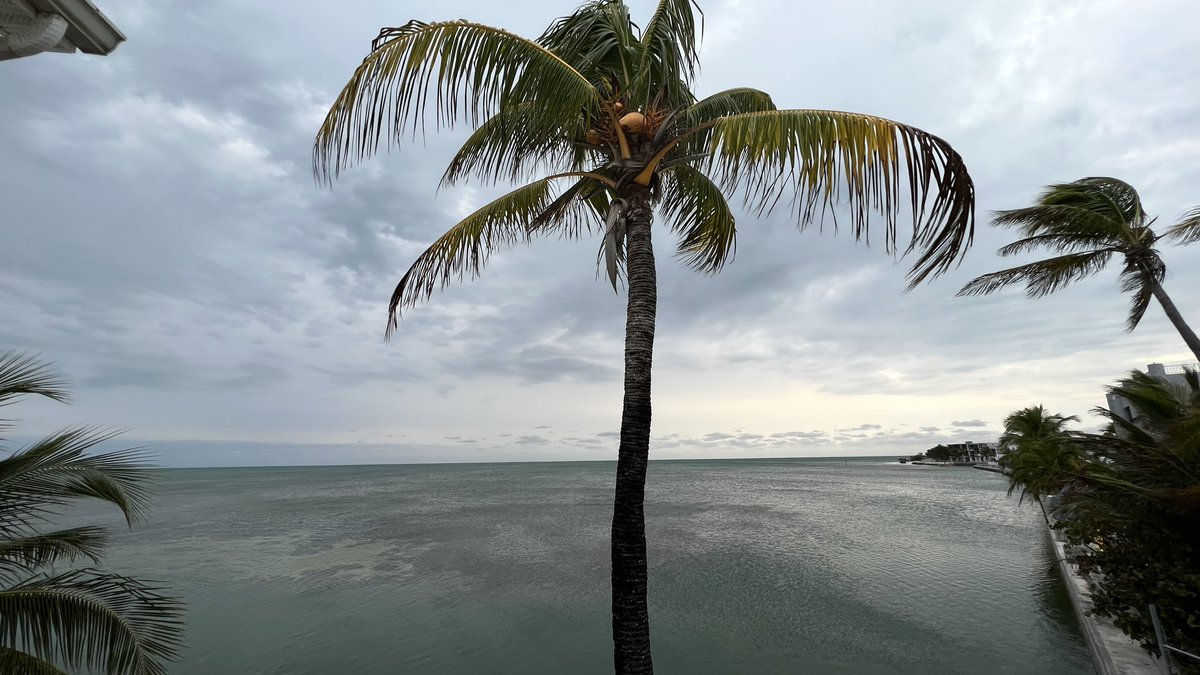 Feelin the chill! #geigerkey Over at friends for dinner #myviewrightnow #flkeys