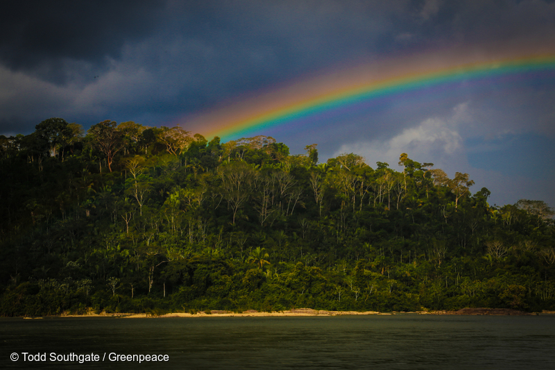 Greenpeace's tweet photo. The Amazon in all its glory 😍

A reminder of what we need to protect - now, before it’s too late >> https://t.co/tEmalcv4FB https://t.co/ur5VrfLnts