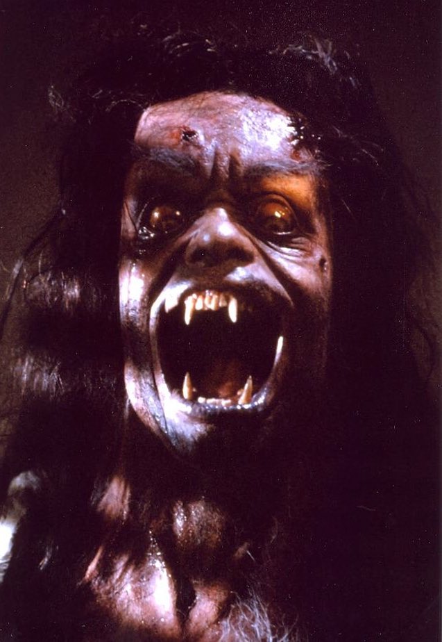 MehdiOmais's tweet photo. Les transformations dans #Hurlements de Joe Dante sont toujours très efficaces. Si sa toison a pris un peu la poussière, cet opus horrifique doit en effet beaucoup à l’excellent travail de maquillage de Rob Bottin (Piranhas, Total Recall, Seven, Fight Club…).
Sur @myCANAL. https://t.co/c3BuPuHb2X