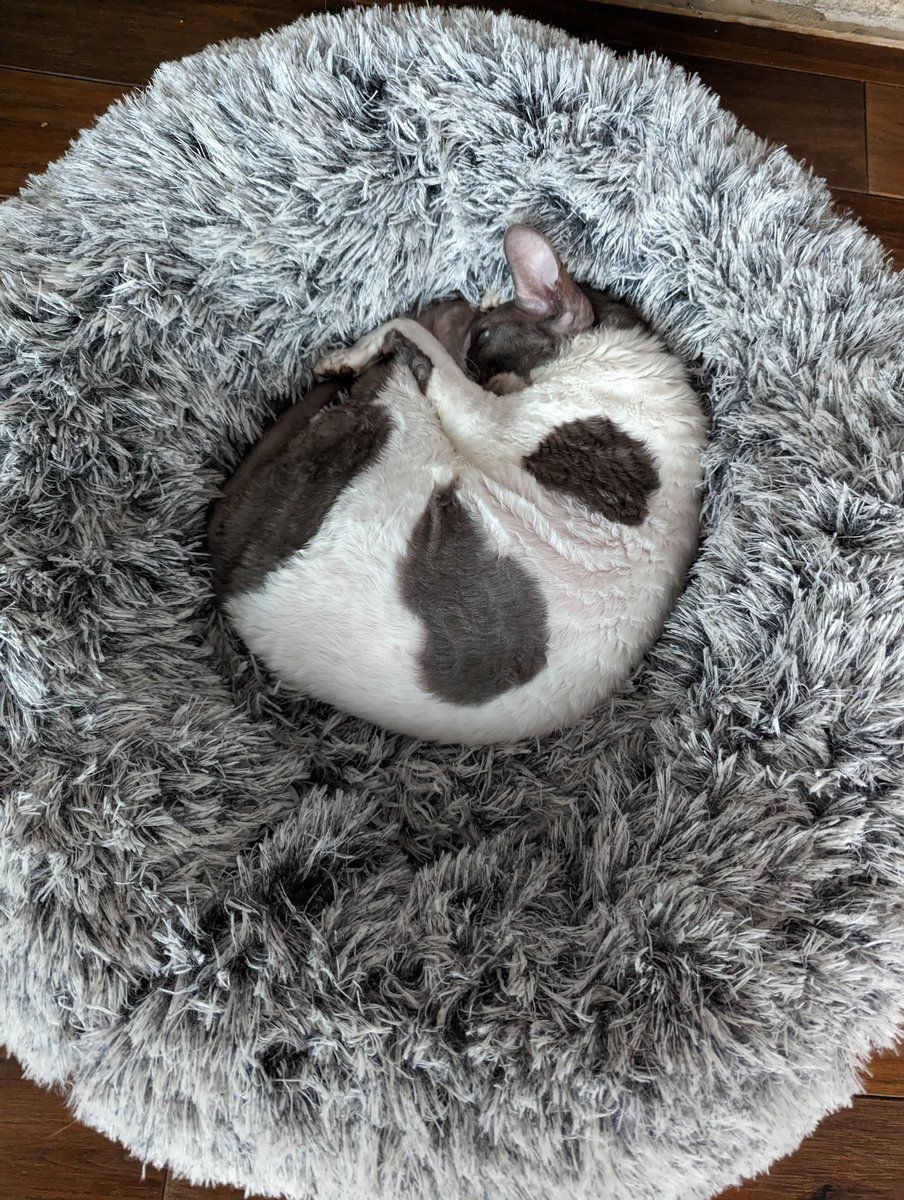 Merry Christmas everyone ⛄💝