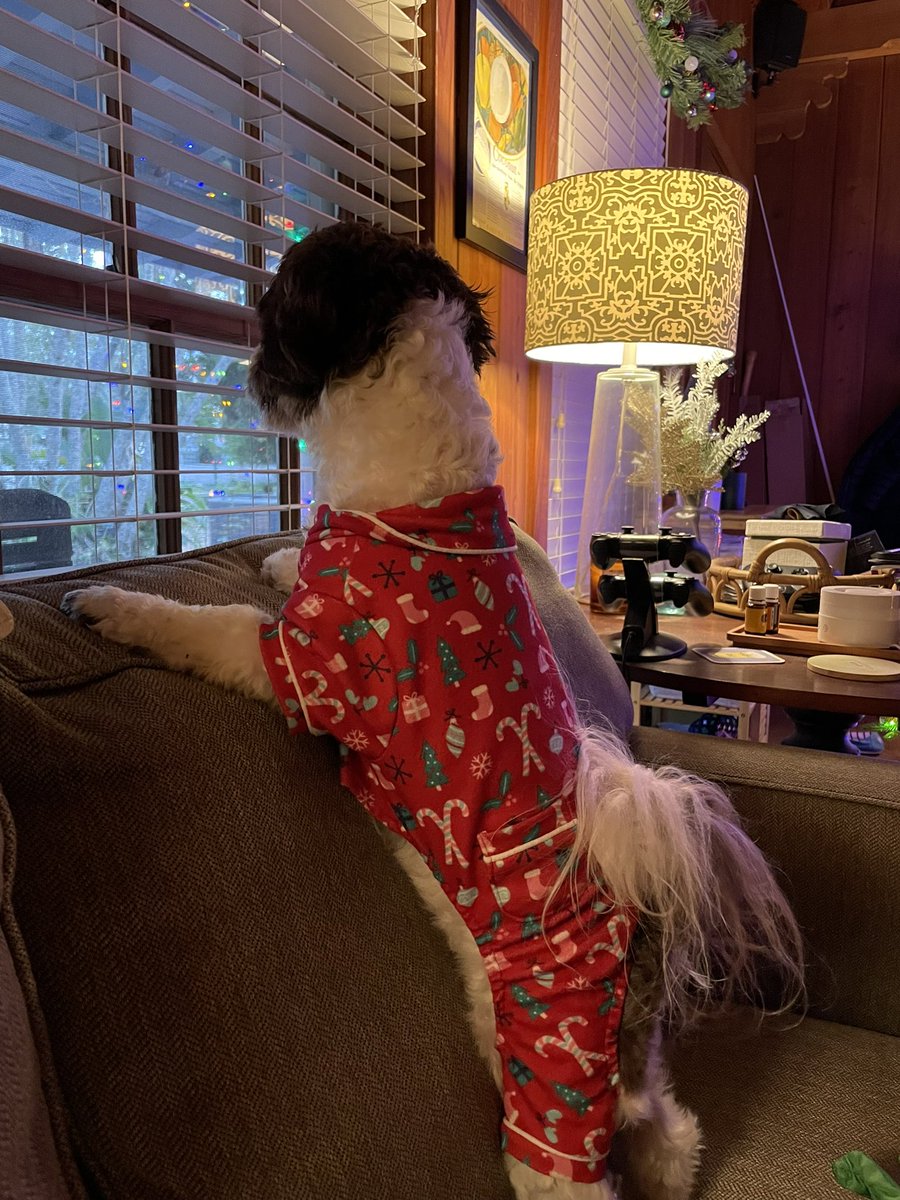 I cannot get over dog jammies