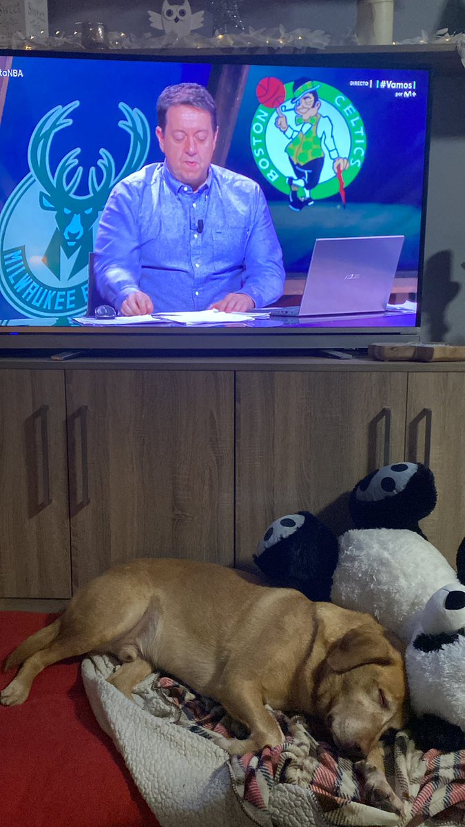 beltranfor tweet media