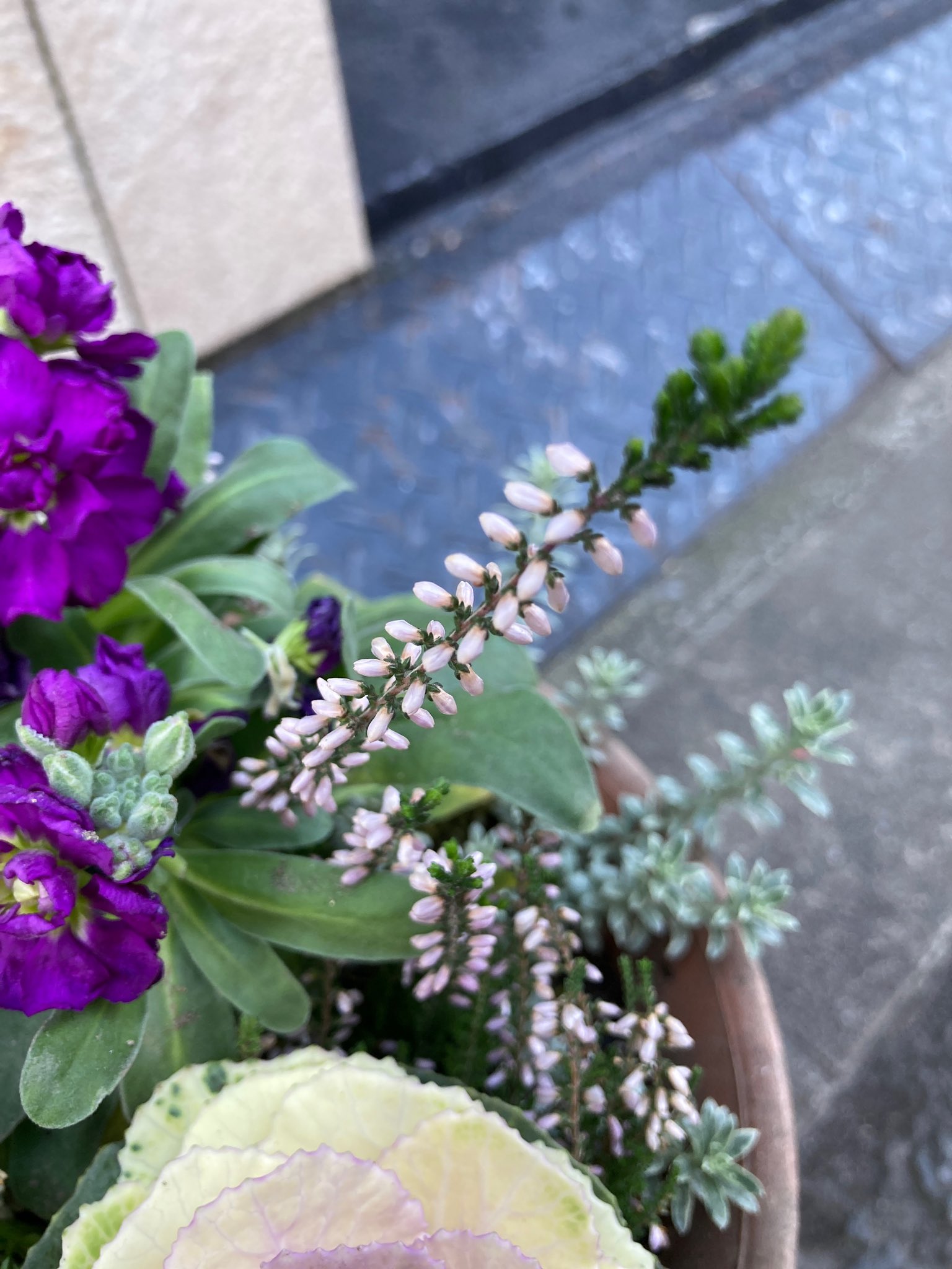花詩 Twitter Search Twitter